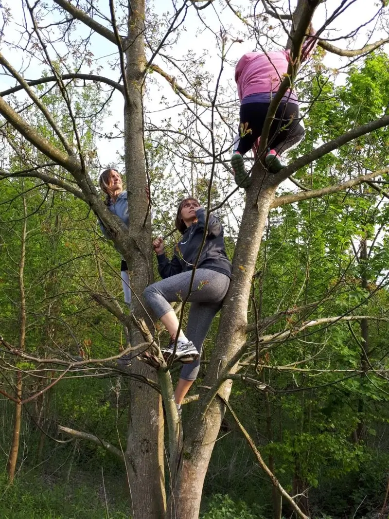 Krafttier Yoga im Wald bei Baden-Dättwil – Naturerfahrung und Erdung