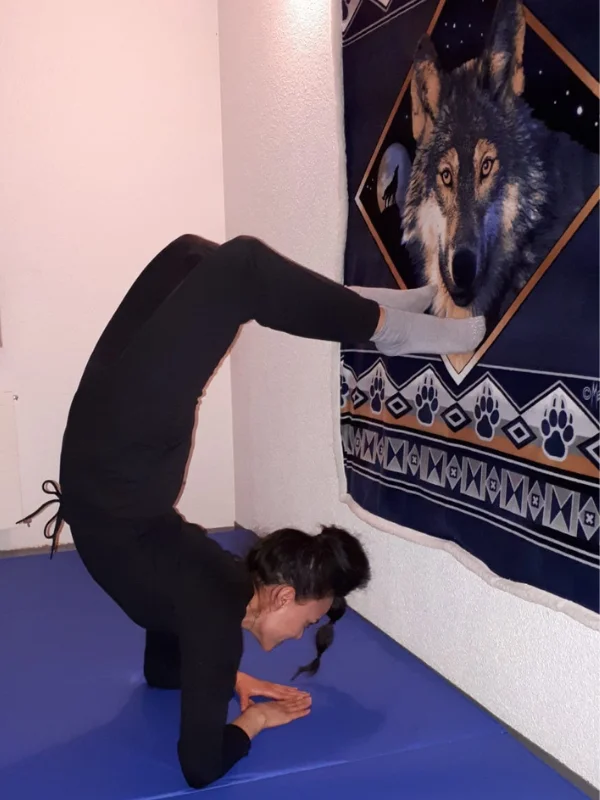 Skorpion-Pose im Krafttier Yoga mit Wolf-Spirit im Hintergrund